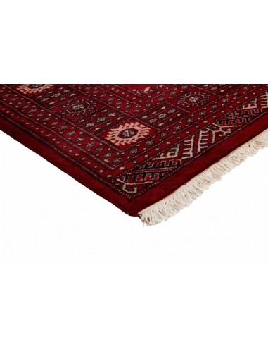 Hand made rug Bukhara fine Pakistan cm.186x276