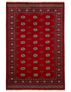 Hand made rug Bukhara fine Pakistan cm.186x277
