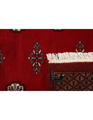 Hand made rug Bukhara fine Pakistan cm.186x277