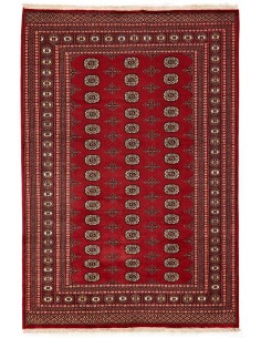 Hand made rug Bukhara fine Pakistan cm.186x271