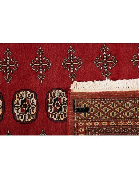 Hand made rug Bukhara fine Pakistan cm.186x271
