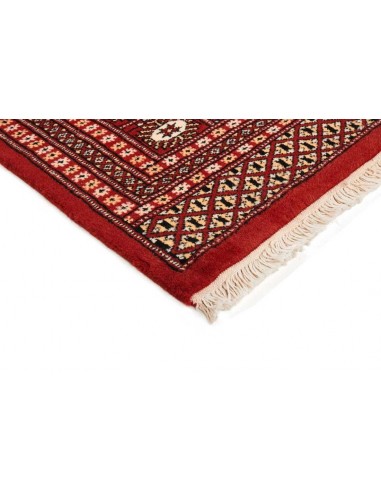 Hand made rug Bukhara fine Pakistan cm.186x271