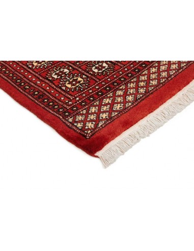 Hand made rug Bukhara fine Pakistan cm.180x288