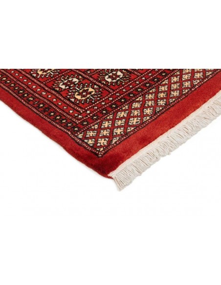 Hand made rug Bukhara fine Pakistan cm.180x288