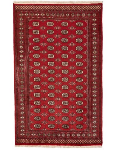 Hand made rug Bukhara fine Pakistan cm.182x291