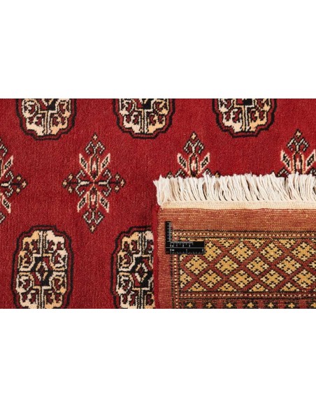 Hand made rug Bukhara fine Pakistan cm.182x291