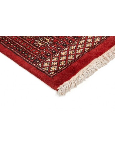 Hand made rug Bukhara fine Pakistan cm.182x291