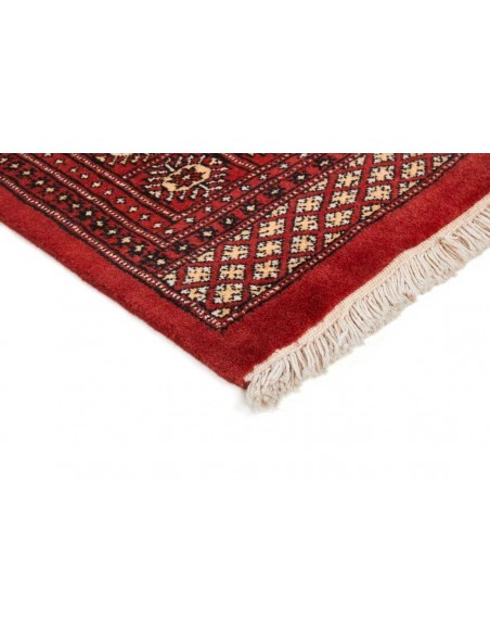 Hand made rug Bukhara fine Pakistan cm.182x291