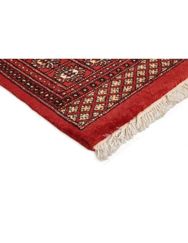 Hand made rug Bukhara fine Pakistan cm.182x278