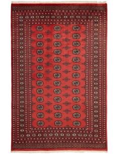 Hand made rug Bukhara fine Pakistan cm.185x291