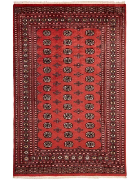 Hand made rug Bukhara fine Pakistan cm.185x291