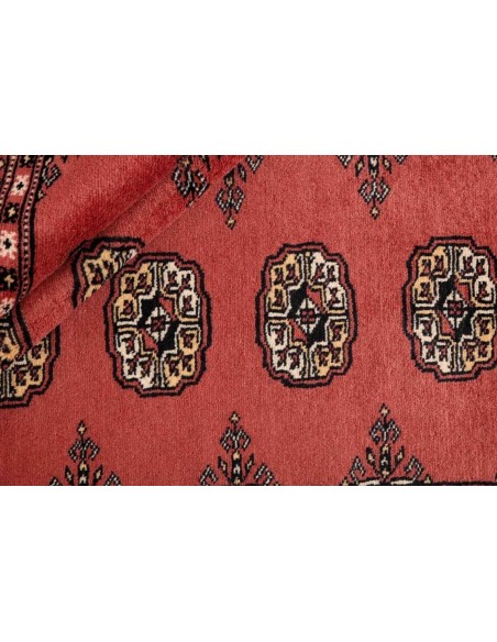 Hand made rug Bukhara fine Pakistan cm.185x291