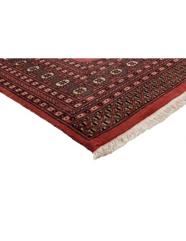 Hand made rug Bukhara fine Pakistan cm.185x291