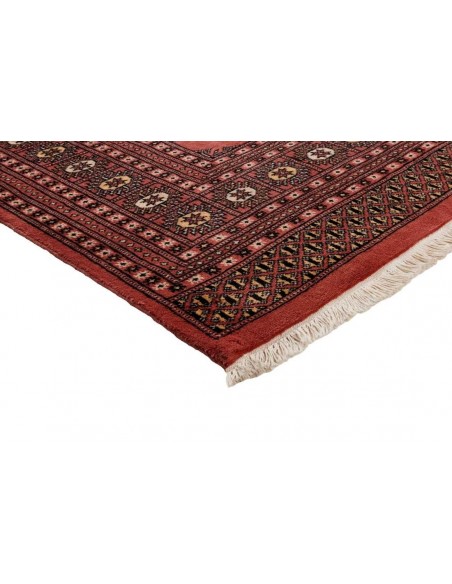 Hand made rug Bukhara fine Pakistan cm.185x291