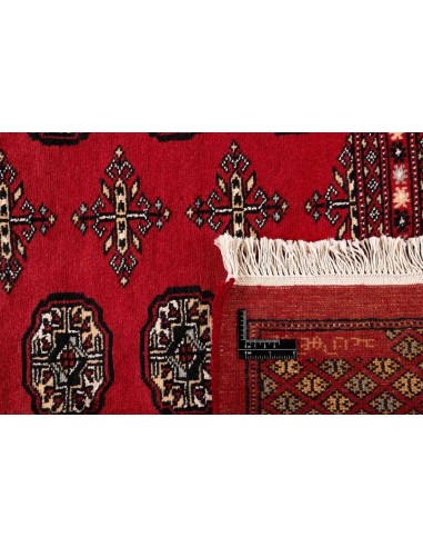 Hand made rug Bukhara fine Pakistan cm.203x308