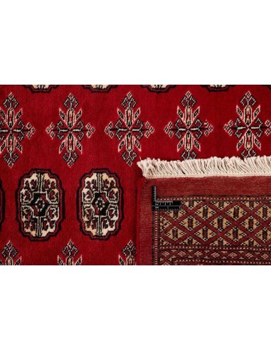 Hand made rug Bukhara fine Pakistan cm.207x305