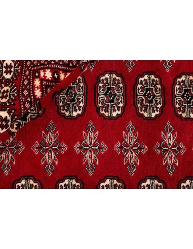 Hand made rug Bukhara fine Pakistan cm.207x305