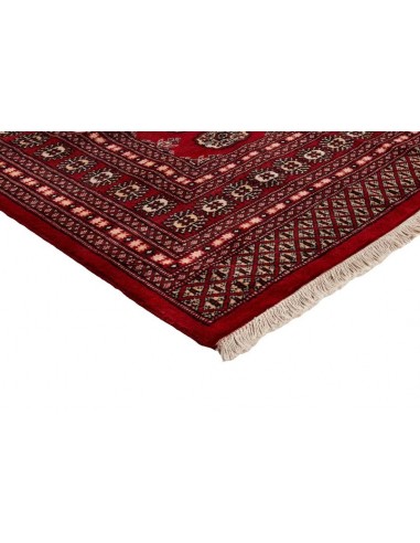Hand made rug Bukhara fine Pakistan cm.207x305