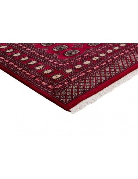 Hand made rug Bukhara fine Pakistan cm.203x306
