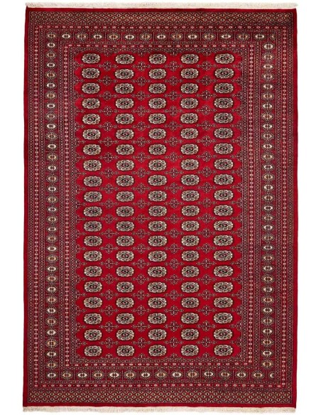 Hand made rug Bukhara fine Pakistan cm.204x301