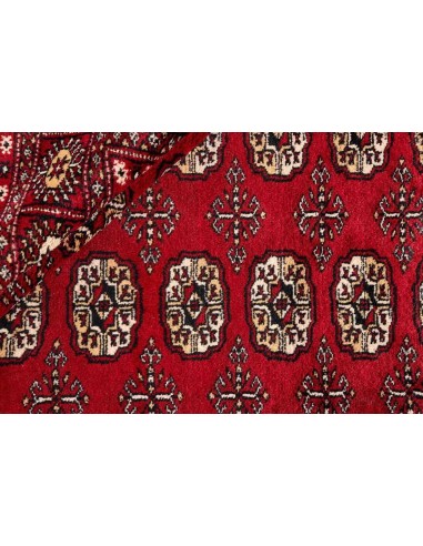 Hand made rug Bukhara fine Pakistan cm.204x301