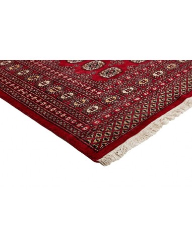 Hand made rug Bukhara fine Pakistan cm.204x301