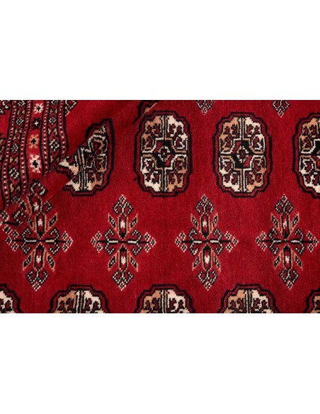 Hand made rug Bukhara fine Pakistan cm.200x325