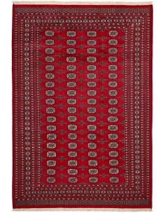 Hand made rug Bukhara fine Pakistan cm.206x301