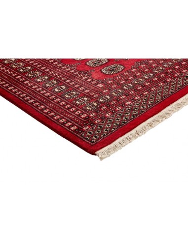 Hand made rug Bukhara fine Pakistan cm.206x301