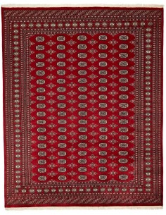 Hand made rug Bukhara fine Pakistan cm.245x304