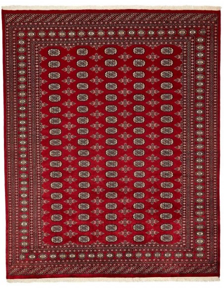 Hand made rug Bukhara fine Pakistan cm.245x304