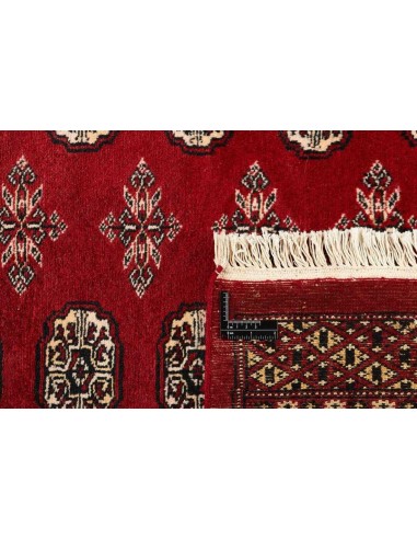 Hand made rug Bukhara fine Pakistan cm.245x304