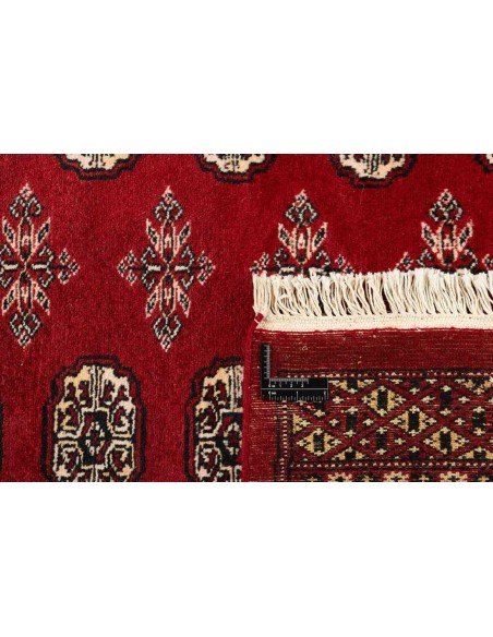 Hand made rug Bukhara fine Pakistan cm.245x304