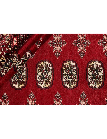 Hand made rug Bukhara fine Pakistan cm.245x304