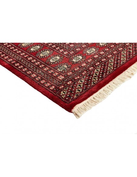 Hand made rug Bukhara fine Pakistan cm.245x304