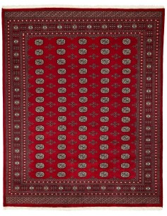 Hand made rug Bukhara fine Pakistan cm.249x309