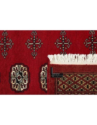 Hand made rug Bukhara fine Pakistan cm.249x309