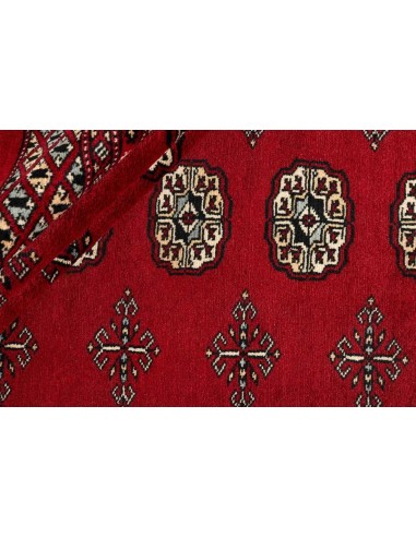 Hand made rug Bukhara fine Pakistan cm.249x309