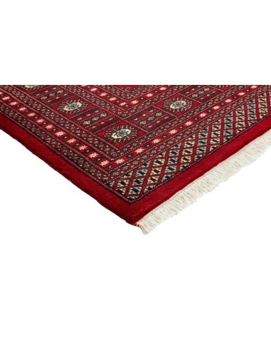 Hand made rug Bukhara fine Pakistan cm.249x309