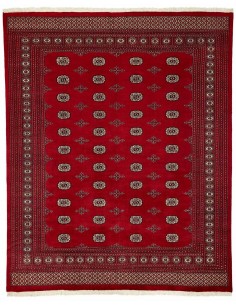 Hand made rug Bukhara fine Pakistan cm.247x303