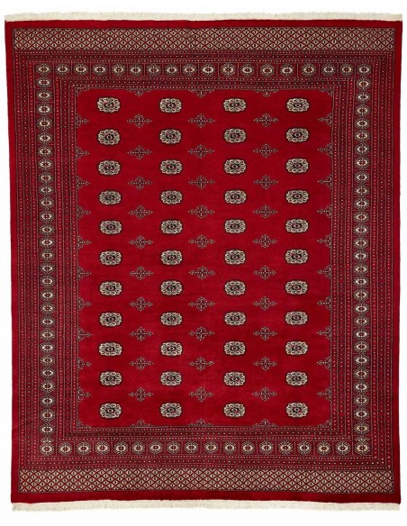 Hand made rug Bukhara fine Pakistan cm.247x303