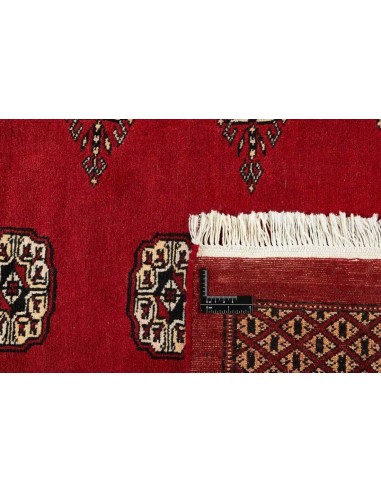 Hand made rug Bukhara fine Pakistan cm.247x303