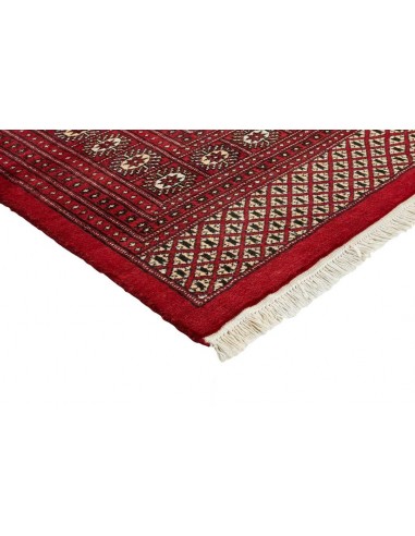 Hand made rug Bukhara fine Pakistan cm.247x303