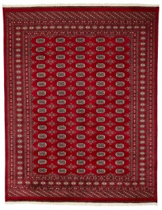 Hand made rug Bukhara fine Pakistan cm.241x309