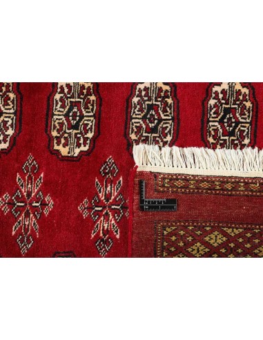 Hand made rug Bukhara fine Pakistan cm.241x309