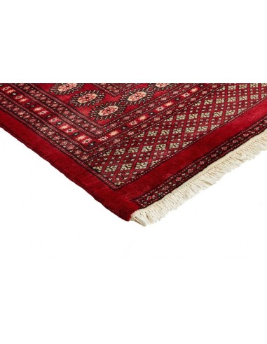 Hand made rug Bukhara fine Pakistan cm.241x309