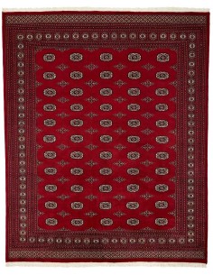 Hand made rug Bukhara fine Pakistan cm.246x304
