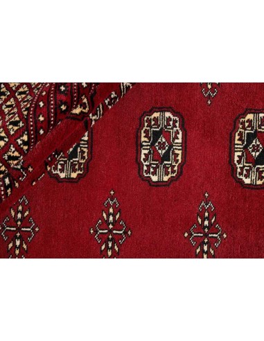 Hand made rug Bukhara fine Pakistan cm.246x304