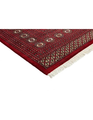 Hand made rug Bukhara fine Pakistan cm.246x304