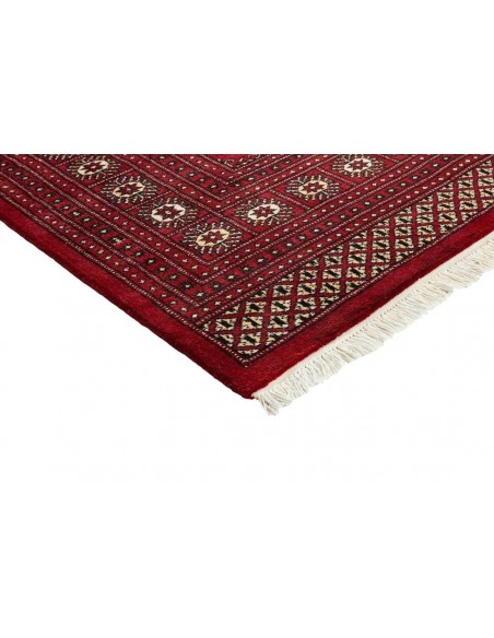 Hand made rug Bukhara fine Pakistan cm.246x304